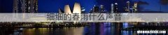 细细的春雨什么声音