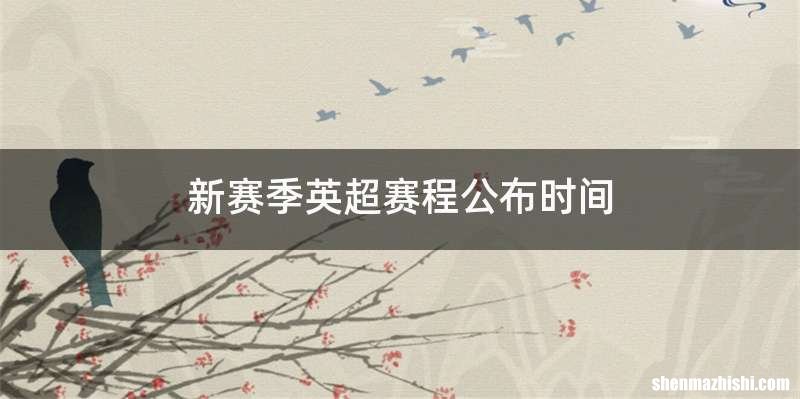 新赛季英超赛程公布时间