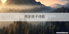 两岁孩子诗歌