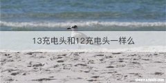 13充电头和12充电头一样么