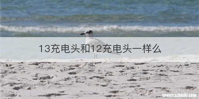 13充电头和12充电头一样么