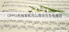 OPPO无线耳机可以用华为充电器吗