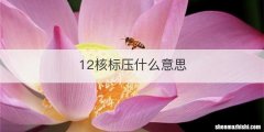 12核标压什么意思