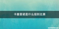 卡塞雷诺是什么级别比赛