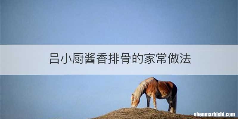 吕小厨酱香排骨的家常做法