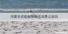 鸿蒙系统能删除微信消费记录吗