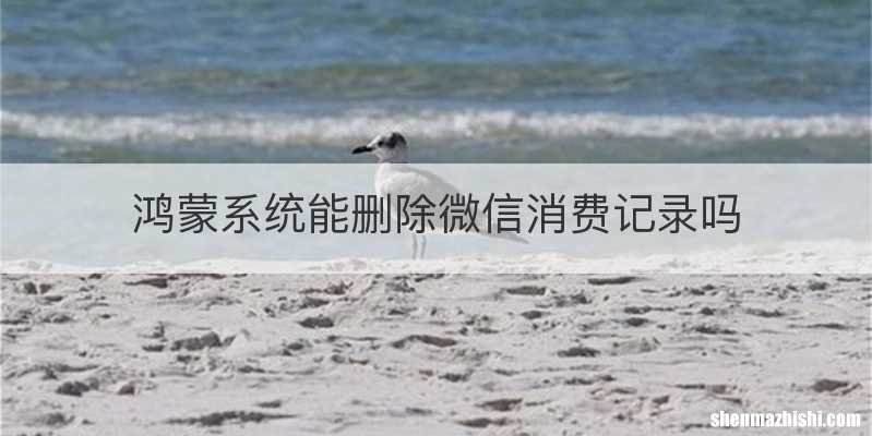 鸿蒙系统能删除微信消费记录吗