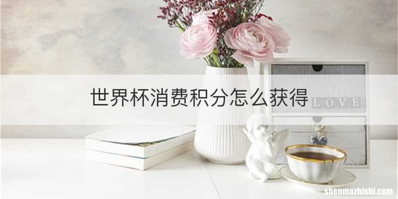 世界杯消费积分怎么获得