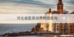 河北省医保消费明细查询