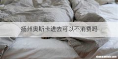 扬州奥斯卡进去可以不消费吗