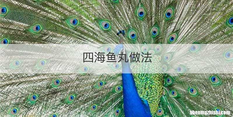 四海鱼丸做法