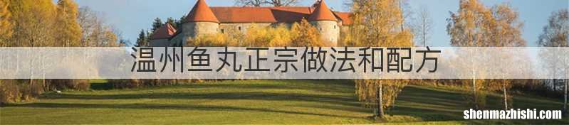 温州鱼丸正宗做法和配方