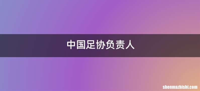 中国足协负责人