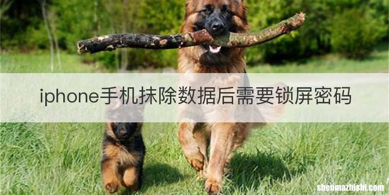 iphone手机抹除数据后需要锁屏密码