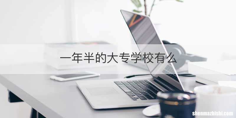 一年半的大专学校有么