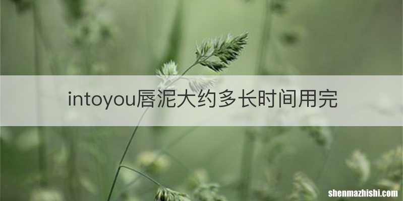 intoyou唇泥大约多长时间用完