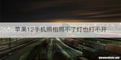 苹果12手机照相照不了灯也打不开
