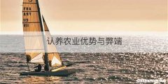 认养农业优势与弊端