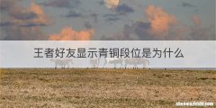 王者好友显示青铜段位是为什么
