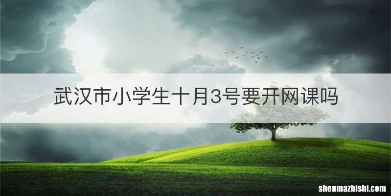 武汉市小学生十月3号要开网课吗