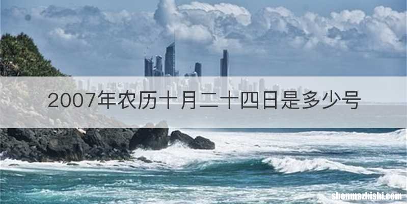 2007年农历十月二十四日是多少号