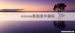 minnie泰国是华裔吗