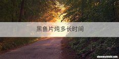 黑鱼片炖多长时间