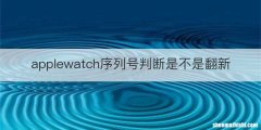 applewatch序列号判断是不是翻新
