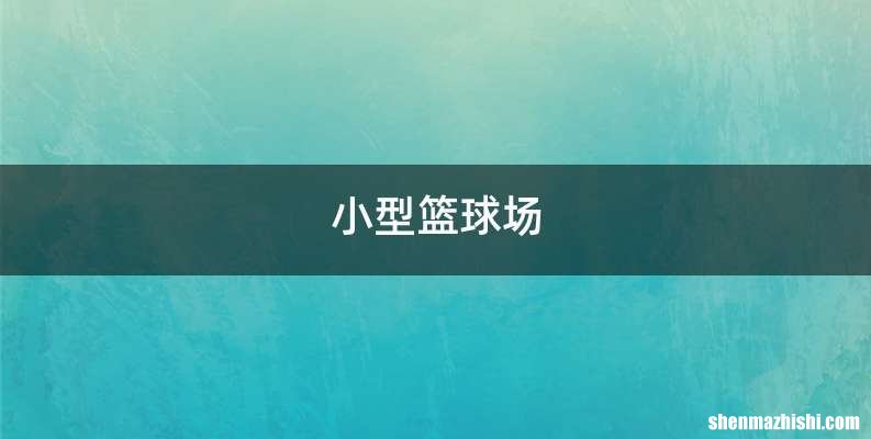 小型篮球场