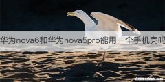 华为nova6和华为nova5pro能用一个手机壳吗