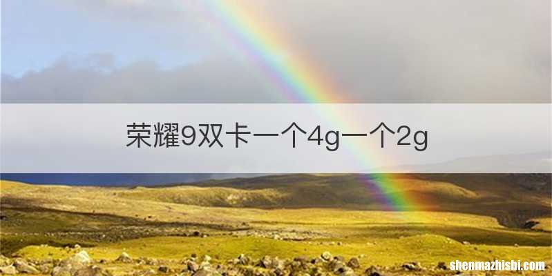 荣耀9双卡一个4g一个2g