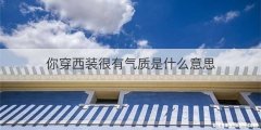你穿西装很有气质是什么意思