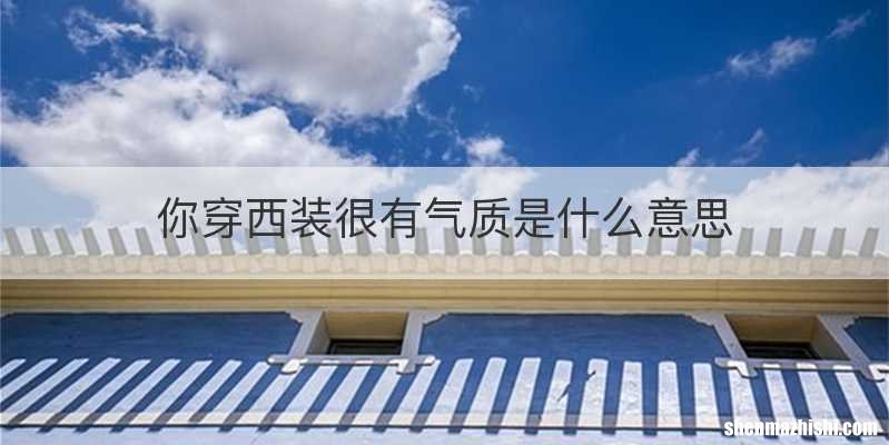 你穿西装很有气质是什么意思