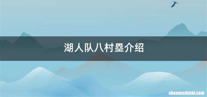 湖人队八村塁介绍