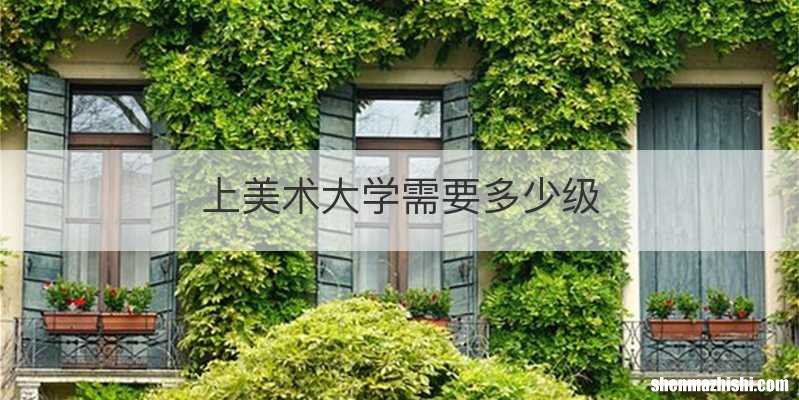 上美术大学需要多少级