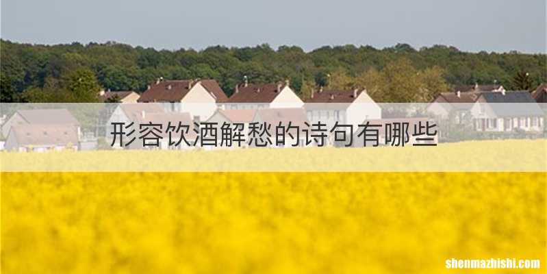 形容饮酒解愁的诗句有哪些