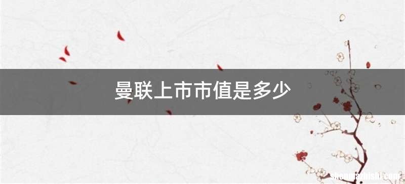 曼联上市市值是多少