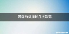 阿森纳参加过几次欧冠