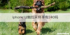 iphone12触控采样率有240吗