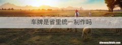 车牌是省里统一制作吗
