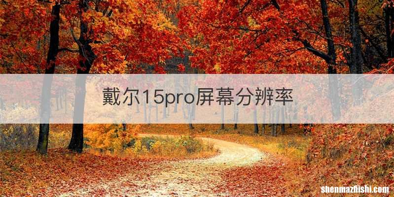 戴尔15pro屏幕分辨率