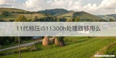 11代标压i511300h处理器够用么
