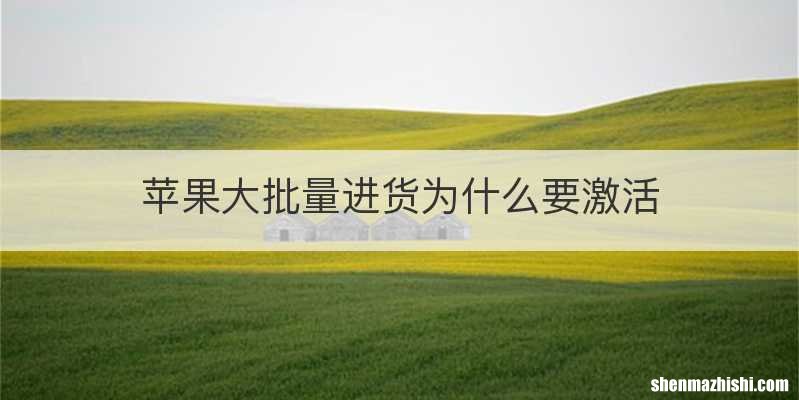 苹果大批量进货为什么要激活