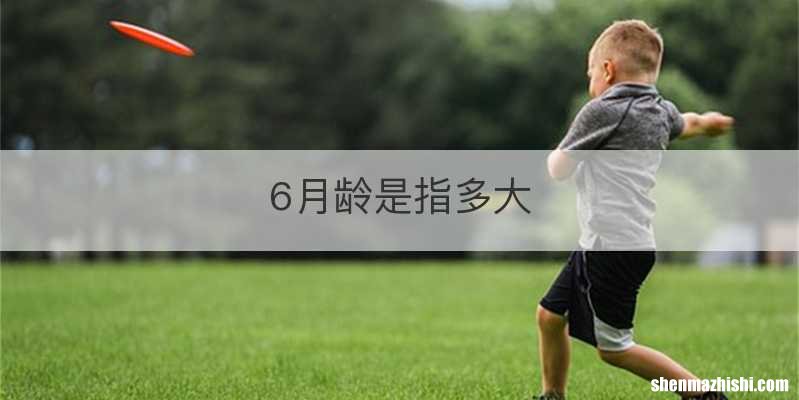 6月龄是指多大