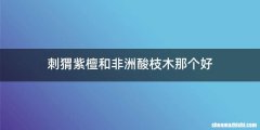 刺猬紫檀和非洲酸枝木那个好