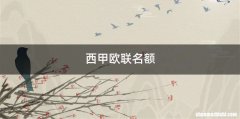西甲欧联名额