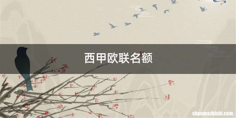 西甲欧联名额