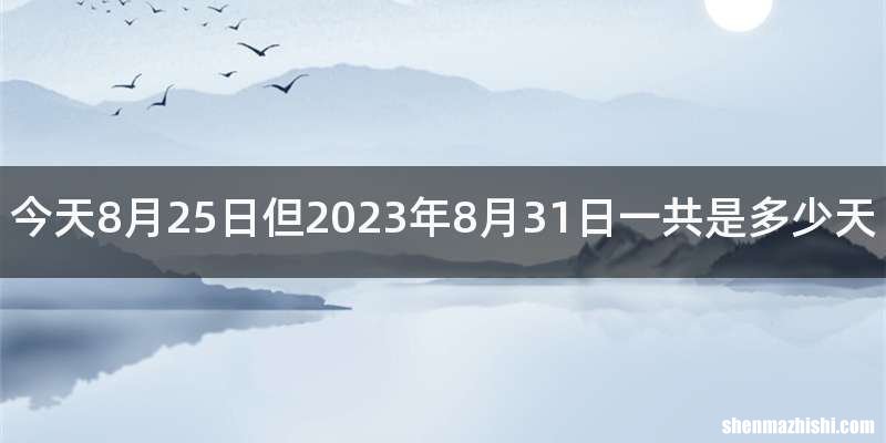 今天8月25日但2023年8月31日一共是多少天