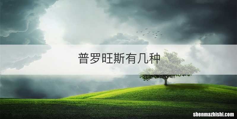 普罗旺斯有几种