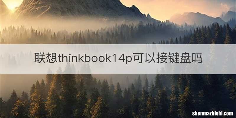 联想thinkbook14p可以接键盘吗